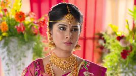 Krishnaveni S01E169 Sudha Is Worried Full Episode