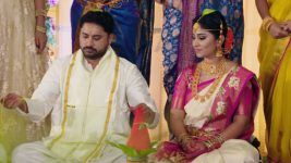 Krishnaveni S01E170 Sudha, Kalyan Tie the Knot Full Episode