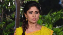 Krishnaveni S01E95 Will Sudha Accept the Proposal? Full Episode