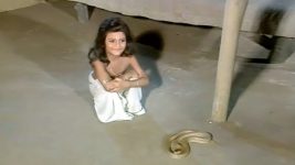 Mahaprabhu (Jalsha) S01E08 Nimai's Deadly Encounter Full Episode
