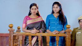 Malar S01E176 15th November 2019 Full Episode