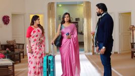 Malli Nindu Jabili S01E20 Malini's Firm Decision Full Episode