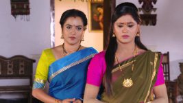 Manasichi Choodu S01E114 Padma's Demands to Bhanumathi Full Episode