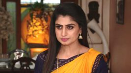 Manasuna Manasai S01E144 Daksha Opens Up Full Episode