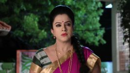 Mouna Raagam (Telugu) S01E101 A Doubt in Nandini's Mind Full Episode