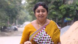Mouna Raagam (Telugu) S01E102 Neelaveni Spots Ammulu Full Episode