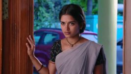 Mouna Raagam (Telugu) S01E134 Ammulu on a Mission Full Episode