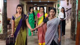 Mouna Raagam (Telugu) S01E135 Lucky Leaves Nandini's House Full Episode