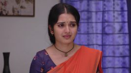 Mouna Raagam (Telugu) S01E491 Ammulu in a Fix Full Episode