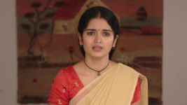 Mouna Raagam (Telugu) S01E497 Ammulu's Request to Anurag Full Episode