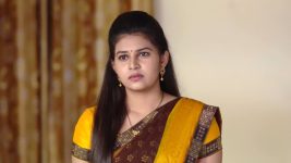 Mouna Raagam (Telugu) S01E499 Ammulu's Request to Lucky Full Episode