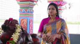 Mouna Raagam (Telugu) S01E515 Nandini Apologises to Anurag Full Episode