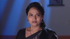 Mouna Raagam (Telugu) S01E526 Vasantha Is Annoyed Full Episode