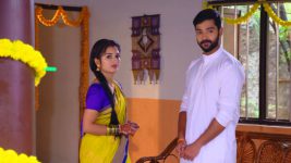 Mouna Raagam (Telugu) S01E556 Ammulu and Ankit Feel Elated Full Episode