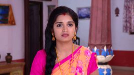 Mouna Raagam (Telugu) S01E560 Ammulu Seeks Seenaiah's Help Full Episode