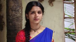 Mouna Raagam (Telugu) S01E75 Ammulu Shocks Neelaveni Full Episode