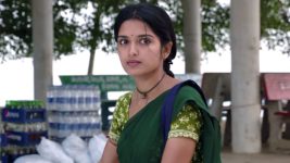 Mouna Raagam (Telugu) S01E77 Ammulu's Stern Decision Full Episode