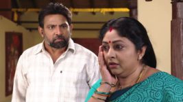 Mouna Raagam (Telugu) S01E90 Neelaveni Faces Seenaiah's Ire Full Episode