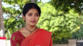 Mouna Raagam (Telugu) S01E92 Ammulu's Revelation Shocks Ankit Full Episode