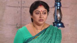Mouna Raagam (Telugu) S01E93 Neelaveni Learns a Shocking News Full Episode