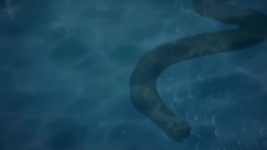 Naagin (Colors tv) S04E09 11th January 2020 Full Episode