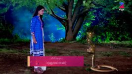 Naagini S01E376 24th July 2017 Full Episode