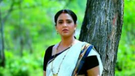 Naagini Telugu S01E37 28th March 2022 Full Episode