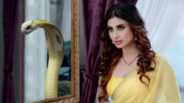 Naga Kannike S02E53 26th August 2020 Full Episode
