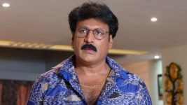 Neevalle Neevalle (Star Maa) S01E102 Arjun Prasad Makes a Plea Full Episode