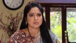 Neevalle Neevalle (Star Maa) S01E103 An Advice to Subhadra Full Episode