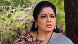 Neevalle Neevalle (Star Maa) S01E104 Subhadra's Firm Call Full Episode
