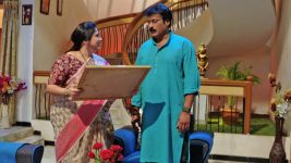 Neevalle Neevalle (Star Maa) S01E109 Arjun Prasad Surprises Subhadra Full Episode