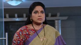 Neevalle Neevalle (Star Maa) S01E146 Subhadra Is Taken Aback Full Episode