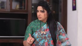 Neevalle Neevalle (Star Maa) S01E30 Subhadra Gets Furious Full Episode