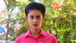 Neevalle Neevalle (Star Maa) S01E35 Preethi Gives Her word Full Episode