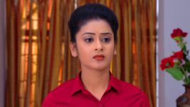 Neevalle Neevalle (Star Maa) S01E44 Preethi Gives Her Word Full Episode