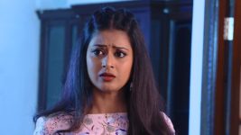 Neevalle Neevalle (Star Maa) S01E60 A Shock Awaits Preethi Full Episode