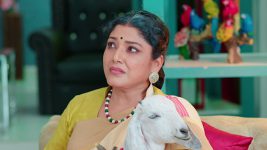 Nuvvu Nenu Prema S01E116 Shanthadevi's Demand to Maya Full Episode