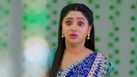 Nuvvu Nenu Prema S01E77 Padmavathi in Trouble Full Episode