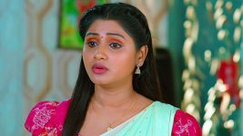 Nuvvu Nenu Prema S01E88 Padmavathi Seeks Murali's Help Full Episode