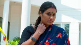Paape Maa Jeevana Jyothi S01E08 Kannamma Executes Her Plan Full Episode
