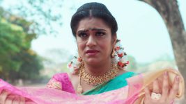 Paape Maa Jeevana Jyothi S01E09 Indumathi Is Guilt-ridden Full Episode