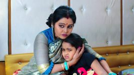 Paape Maa Jeevana Jyothi S01E218 Mallika Is Disappointed Full Episode
