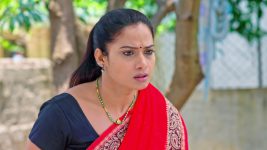 Paape Maa Jeevana Jyothi S01E31 Mallika Loses Her Cool Full Episode