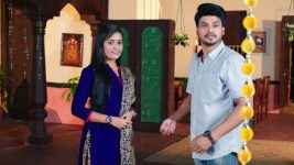 Paape Maa Jeevana Jyothi S01E40 Vishwa Meets Priya Full Episode