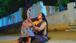 Paape Maa Jeevana Jyothi S01E44 Mallika's Brave Move Full Episode