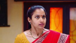 Paape Maa Jeevana Jyothi S01E52 Mallika Gets Agitated Full Episode