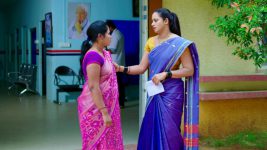 Paape Maa Jeevana Jyothi S01E56 Mallika Makes a Plea Full Episode