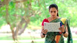 Paape Maa Jeevana Jyothi S01E60 Mallika Learns the Truth Full Episode