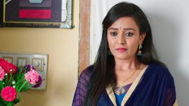 Paape Maa Jeevana Jyothi S01E69 Priya's Life at Risk Full Episode